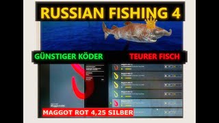 Russian Fishing 4 Grönlandhai auf Maggot am Nordmeer 425 Silber Köder 234 Silber Fisch Set UpSpot [upl. by Eugor943]