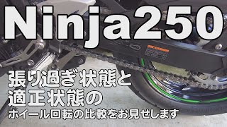 チェーンの張り調整ninja250チェーンメンテバイク女子ライダーkawasaki [upl. by Annaya]