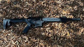 G Force GF25 Is this budget friendly mag fed 12 gauge actually reliable [upl. by Descombes61]