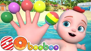 Baby Finger Where Are You  Finger Family Song  Nursery Rhymes amp Kids Songs [upl. by Aihsot726]