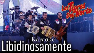 Libidinosamente KaraokeInstrumental  Los Tigres del Norte [upl. by Aik]