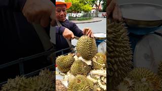 Durian The Worlds Smelliest Fruit But Very Delicious Fruit Cutting [upl. by Husain]