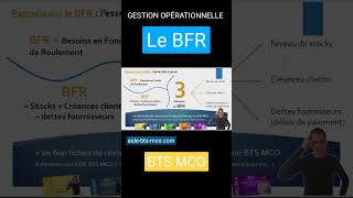 Les éléments du BFR en BTS MCO [upl. by Ahsikyt949]