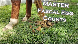 How to Perform a Faecal Egg Count DIY [upl. by Atalayah]