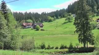 ForbachHundsbach im Schwarzwald [upl. by Kenrick]