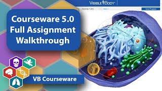 Courseware 50 Full Assignment Walkthrough [upl. by Sokairyk]