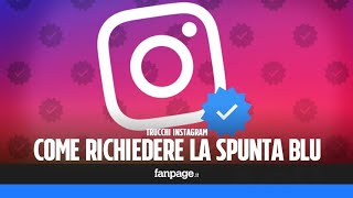 Come richiedere la spunta blu su Instagram con la nuova procedura di verifica dellaccount [upl. by Anawk]