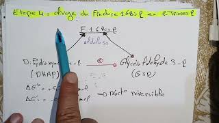 biochimie métabolique svi s4  Glucides 02 résumé détaillé بالعربية [upl. by Lomaj]