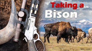 Taking a Buffalo with the Marlin 1895 SBL 4570 [upl. by Johnson]