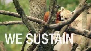 Smithsonians National Zoo We Save Species [upl. by Euqinoj]