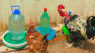 Como hacer Bebedero para gallinas o animales gratis con botellas [upl. by Maguire]