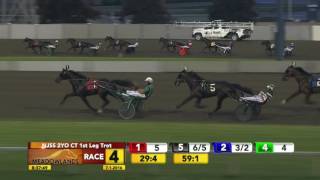 NJSS 2YO Colt Trot  July 1 2016 [upl. by Nazario]