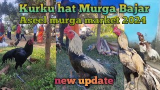 kurku hathe 🐓👀 Aseel murga deek 2024 aseelmurga subscribe share ssrohitvlog7661 viralvideo [upl. by Nevi]