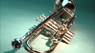 Fanfara Gloria Bujac  Gottfried Auf Riesen  Bassflugelhorn  Tenorhorn SOLO [upl. by Alley542]