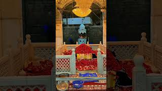 jai baba haider sheikh Malerkotla ji ki [upl. by Nikolaos]