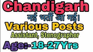 Chandigarh Assistant Stenographer New Vacancy Out Special Education [upl. by Nabois353]