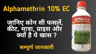 Alphamethrin 10 EC Insecticide  धान की फसल में पत्ता लपेटतना छेदकऔर सभी प्रकार के कीटों के लिए [upl. by Sualocin]