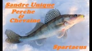 Perche  Chevaine amp Sandre uniques [upl. by Oirelav]