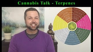 Cannabis Talk  What Are Terpenes And Where Are They Found [upl. by Dleifxam]