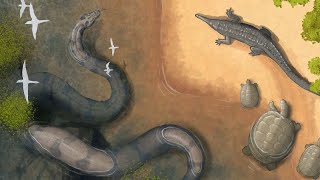 The Prehistoric Snakes That Would’ve Given Titanoboa Ophidiophobia [upl. by Retep]