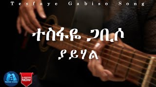 Tesfaye Gabiso ያይሃል  YAYIHAL  በግጥም  ተስፋዬ ጋቢሶ  Lyrics 2023 Official Video [upl. by Oriaj]