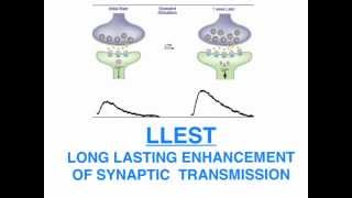 Kandel Neural basis of memory [upl. by Christianity]