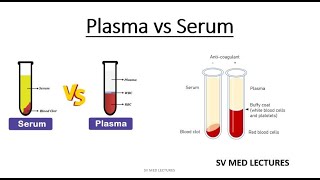 Plasma vs Serum [upl. by Reehsab]