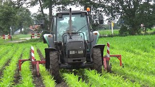 Undersowing in corn [upl. by Ecnerrot]