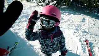 Grizzly Family Snowpark Jungholz [upl. by Ratib]