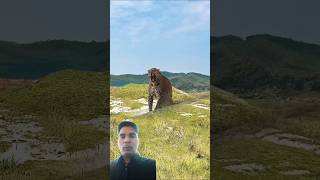 Ek tendua Aur pakshifunny shortsviral animals trending comedy  viral shots [upl. by Jer401]