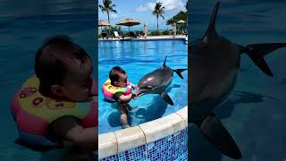 What Happens When a CUTE Baby Meets a Dolphin❤️😍 [upl. by Ahtreb940]