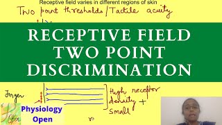 Receptive field physiology  Two point discrimination  Sensory System  CNS physiology mbbs [upl. by Uphemia792]