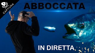 PESCA AL TONNO abboccata in diretta [upl. by Dreyer649]