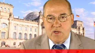 DIE LINKE Gregor Gysi SPDWahlprogramm nicht ernst gemeint [upl. by Ennywg]