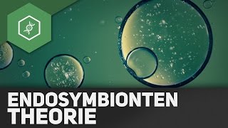 Endosymbiontentheorie [upl. by Ahsratal]