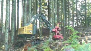 Cat® 532 Track Feller Buncher [upl. by Ellerred]