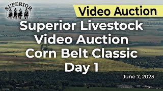 Superior Livestock Auction Corn Belt Classic Day 1 [upl. by Nahsor]