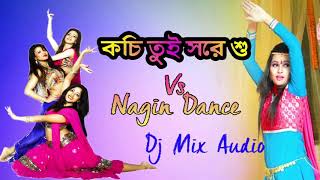 Kochi tui sore so tor masi aseche  purulia hit dj mix song [upl. by Anirtep]