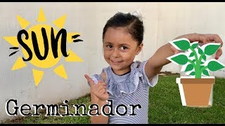 ¿Como hacer un GERMINADOR 🌱  Actividades para niños [upl. by Enyedy]