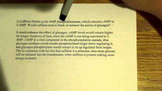 Caffeine effects on glycogen breakdown and synthesis [upl. by Gaut]