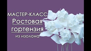 🌸РОСТОВАЯ ГОРТЕНЗИЯ из изолона МастерКласс 2018 [upl. by Eimar]