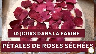 122 fleurs  Comment sécher des pétales de roses [upl. by Nwahsem340]