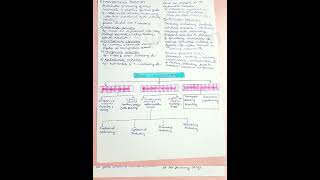 class 11 bst ch 1 short notes studynotes youtubeshorts smartstudynotes [upl. by Reinert415]