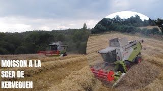 moisson à la scea de kerveguen en bretagne à scrignac [upl. by Atnas]