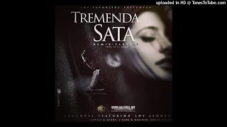 Tremenda Sata 4 Prod By Haku  Arcangel Ft Los Leones  2018 [upl. by Izmar]