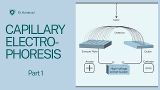 Capillary Electrophoresis introduction instrumentation  working and applications [upl. by Ylrehs]