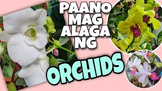 ORCHIDS BASIC CARE TIPS FOR BEGINNERS  ORCHIDS 101 [upl. by Malsi99]