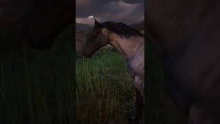 RDR2 • Blue Roan Missouri Fox Trotter in Guarma • Red Dead Redemption 2 [upl. by Ecyned]