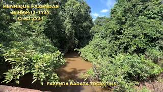 FAZENDA DUPLA APTIDÃO 27 ALQUEIRES NO TOCANTINS ENTRE PORTO E FÁTIMA [upl. by Ariel802]