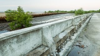 Mangroves  Reducing the Risk of Disaster through NatureBased Solutions [upl. by Esdnyl]